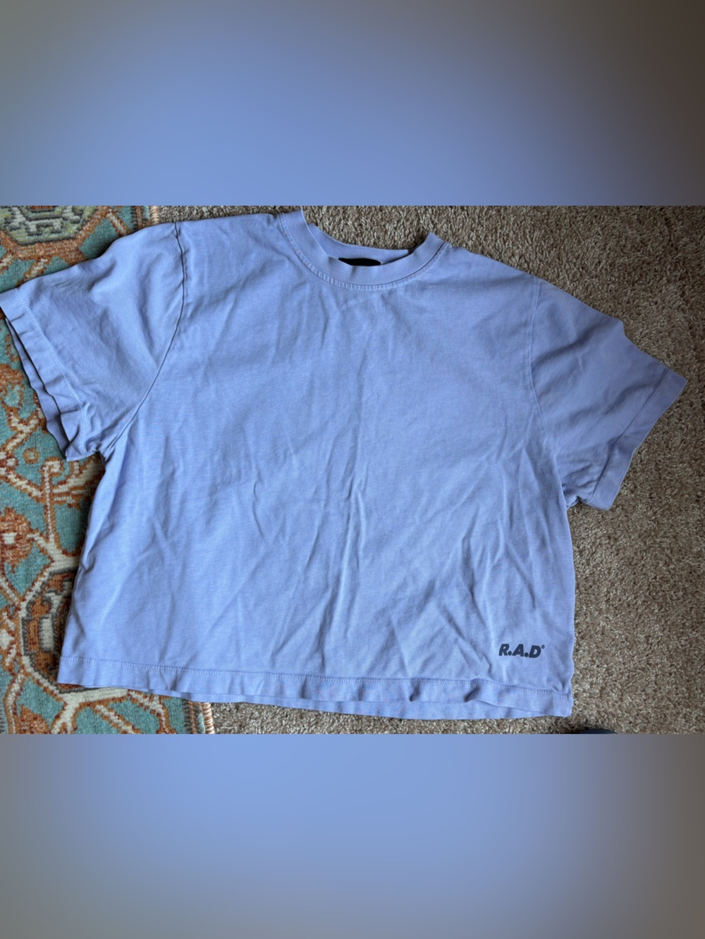 R.A.D. Heavyweight Lavender Cropped Crewneck T-Shirt Crop Top